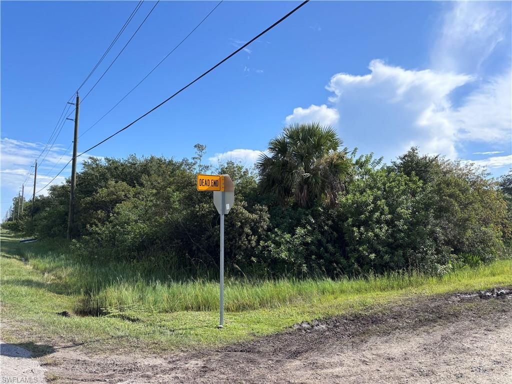 29th Ave Ne, Naples, FL 34120 Photo