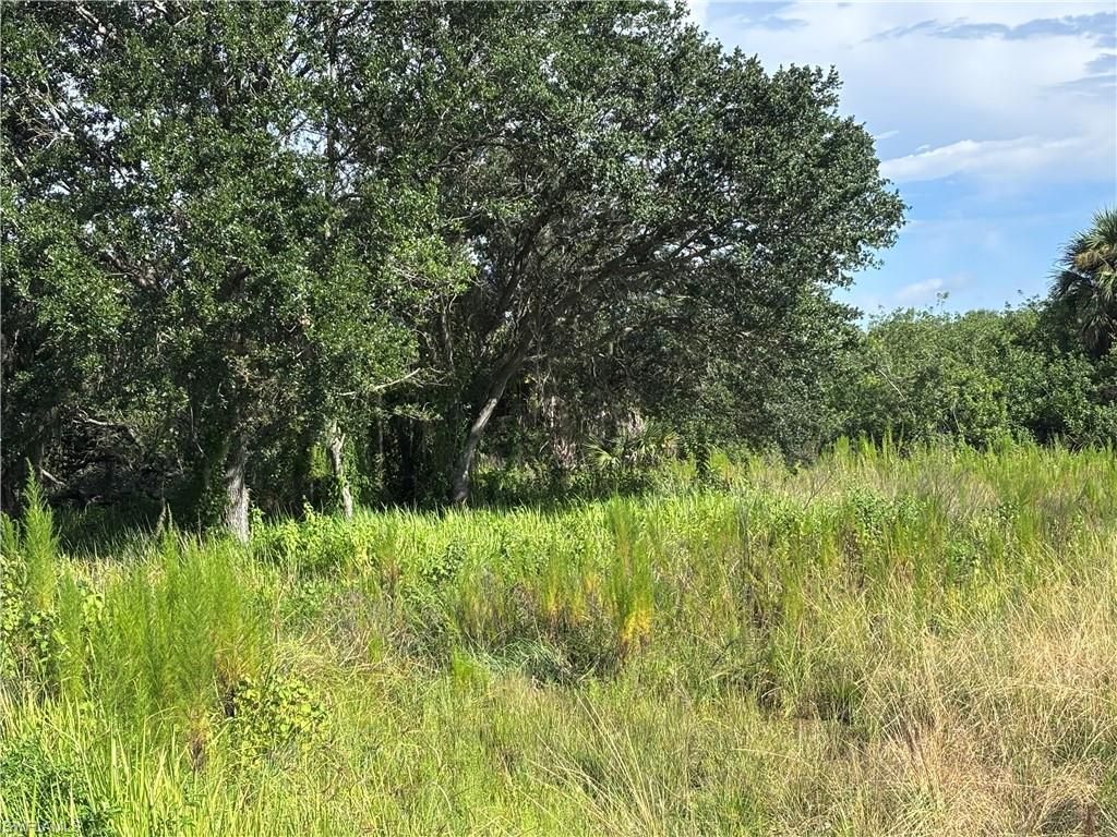 29th Ave Ne, Naples, FL 34120 Photo