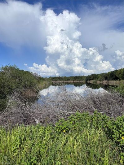 29th Ave Ne, Naples, FL 34120 Photo