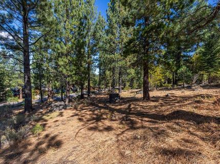 13204 Snowshoe Thompson, Truckee, CA 96161 Photo