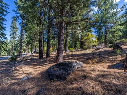13204 Snowshoe Thompson, Truckee, CA 96161 Photo