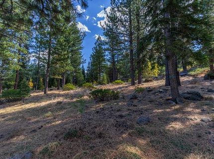 13204 Snowshoe Thompson, Truckee, CA 96161 Photo