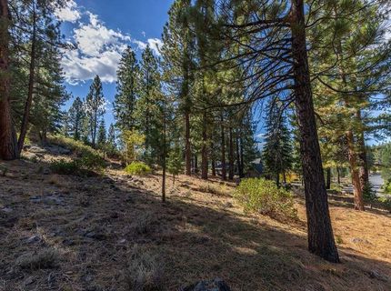13204 Snowshoe Thompson, Truckee, CA 96161 Photo
