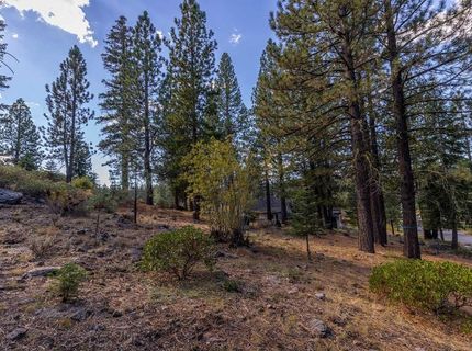 13204 Snowshoe Thompson, Truckee, CA 96161 Photo