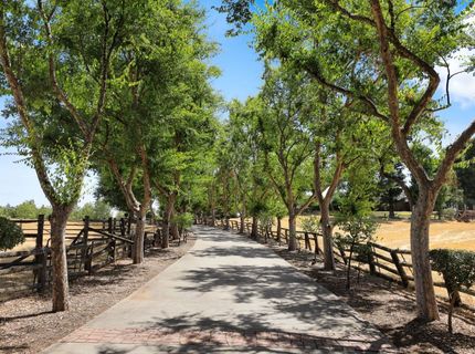 22050 E Buena Vista Rd, Clements, CA 95227 Photo