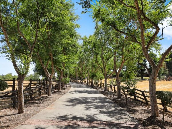 22050 E Buena Vista Rd, Clements, CA 95227