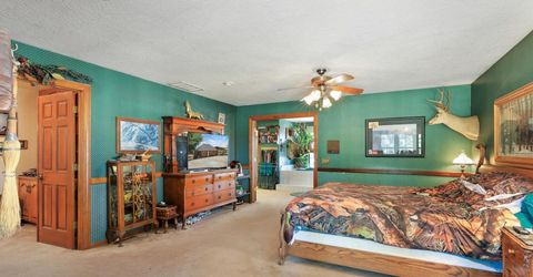 22050 E Buena Vista Rd, Clements, CA 95227 Photo