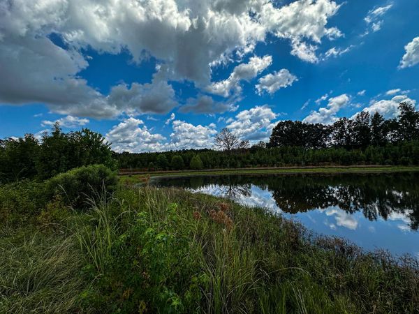 MS-46, Cedar Bluff, MS 39741