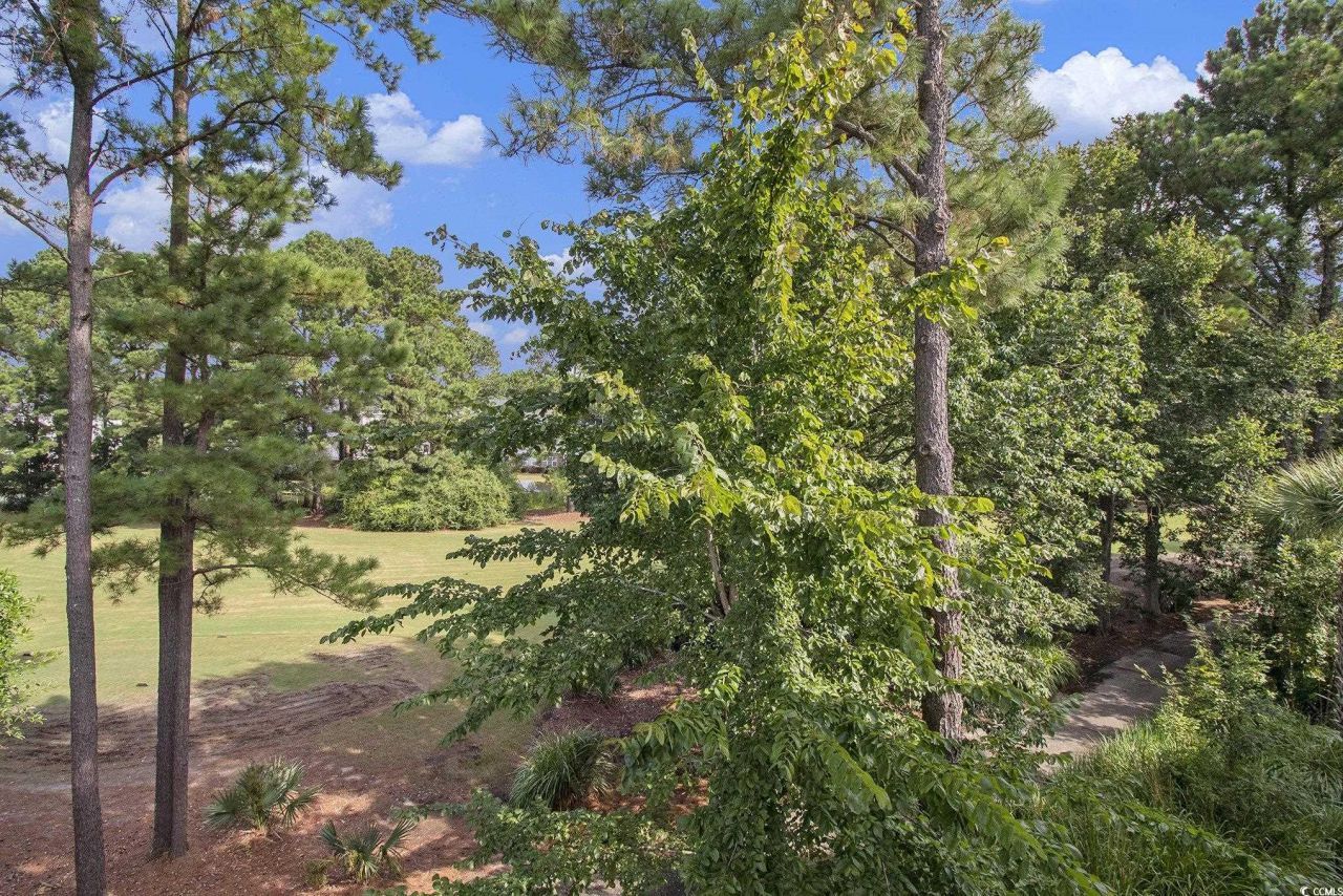 5750 Oyster Catcher Dr. Photo 31