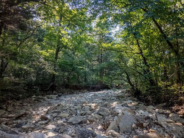 000 Calhan Circle, Clarkridge, AR 72623