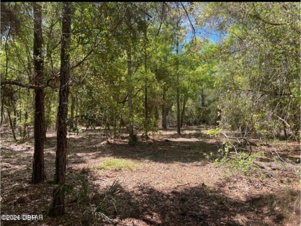 147 Heathton Street, Georgetown, FL 32139