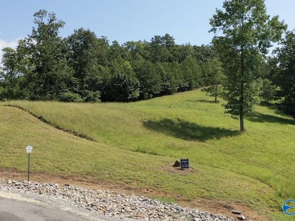 Lot 71 County Road 767, Cedar Bluff, AL 35959