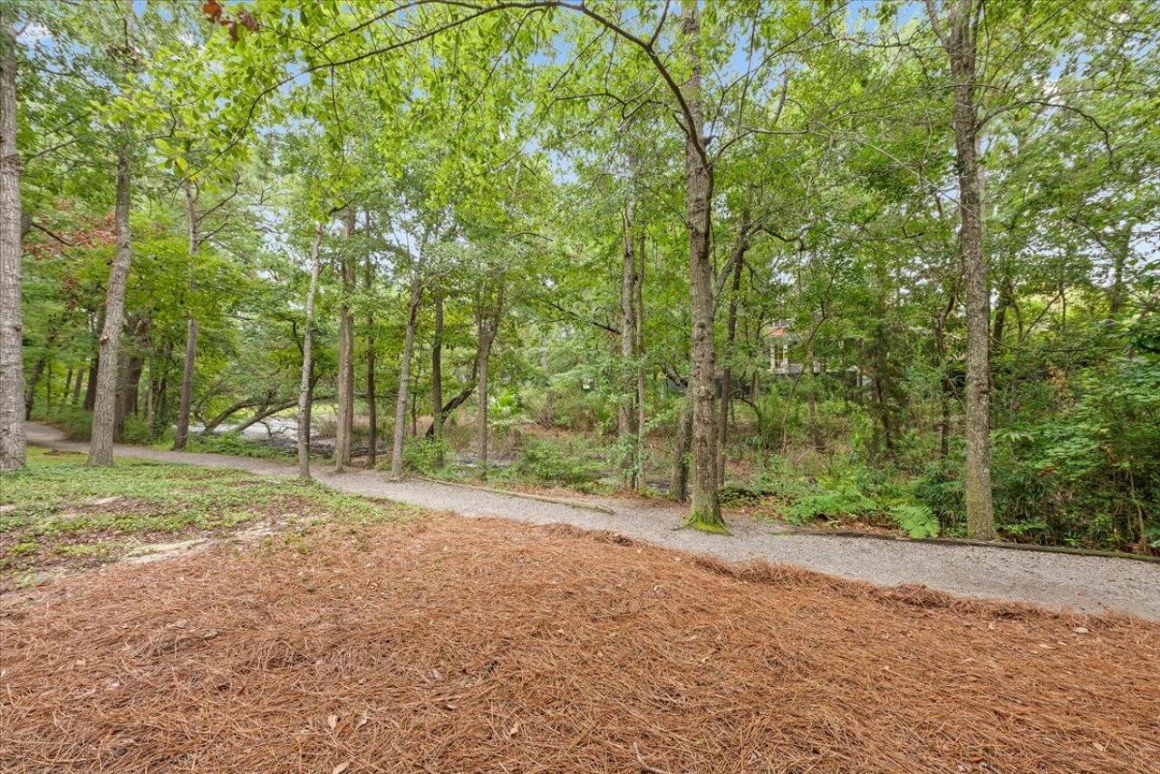 23 Robert Mills Circle Photo 71