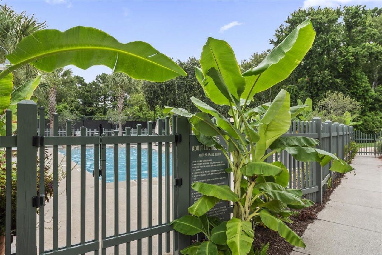 23 Robert Mills Circle Photo 95