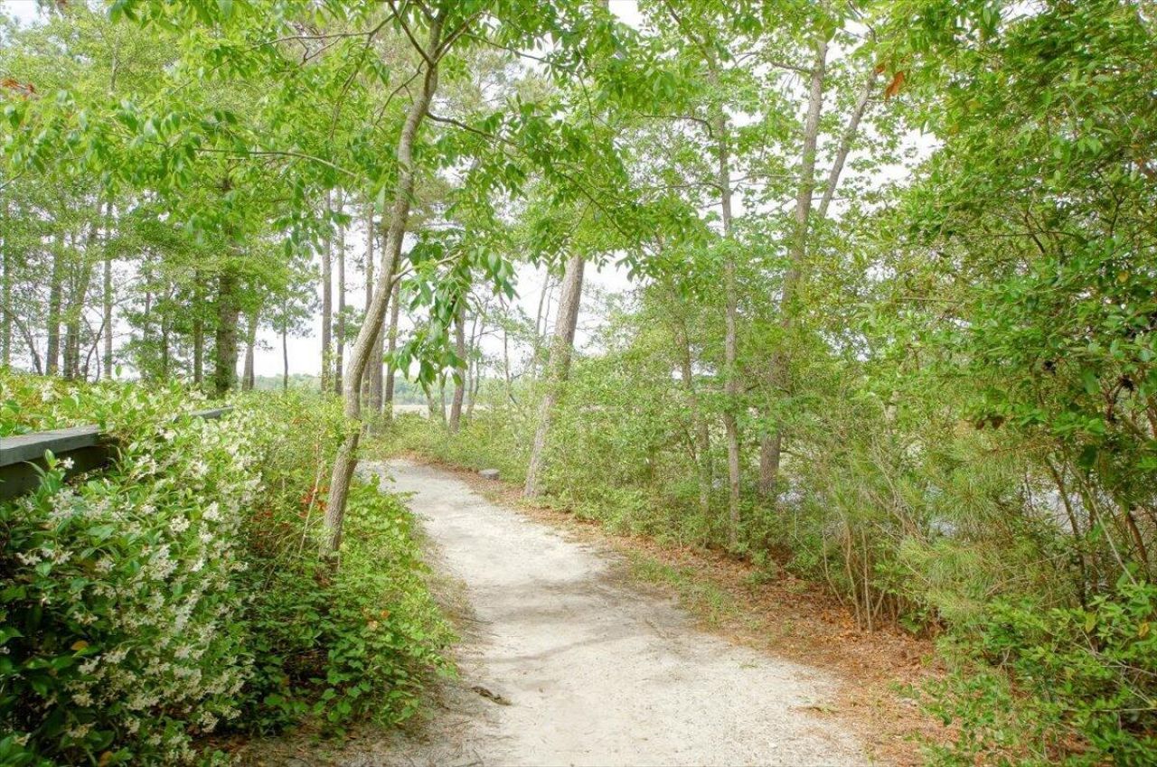 23 Robert Mills Circle Photo 97