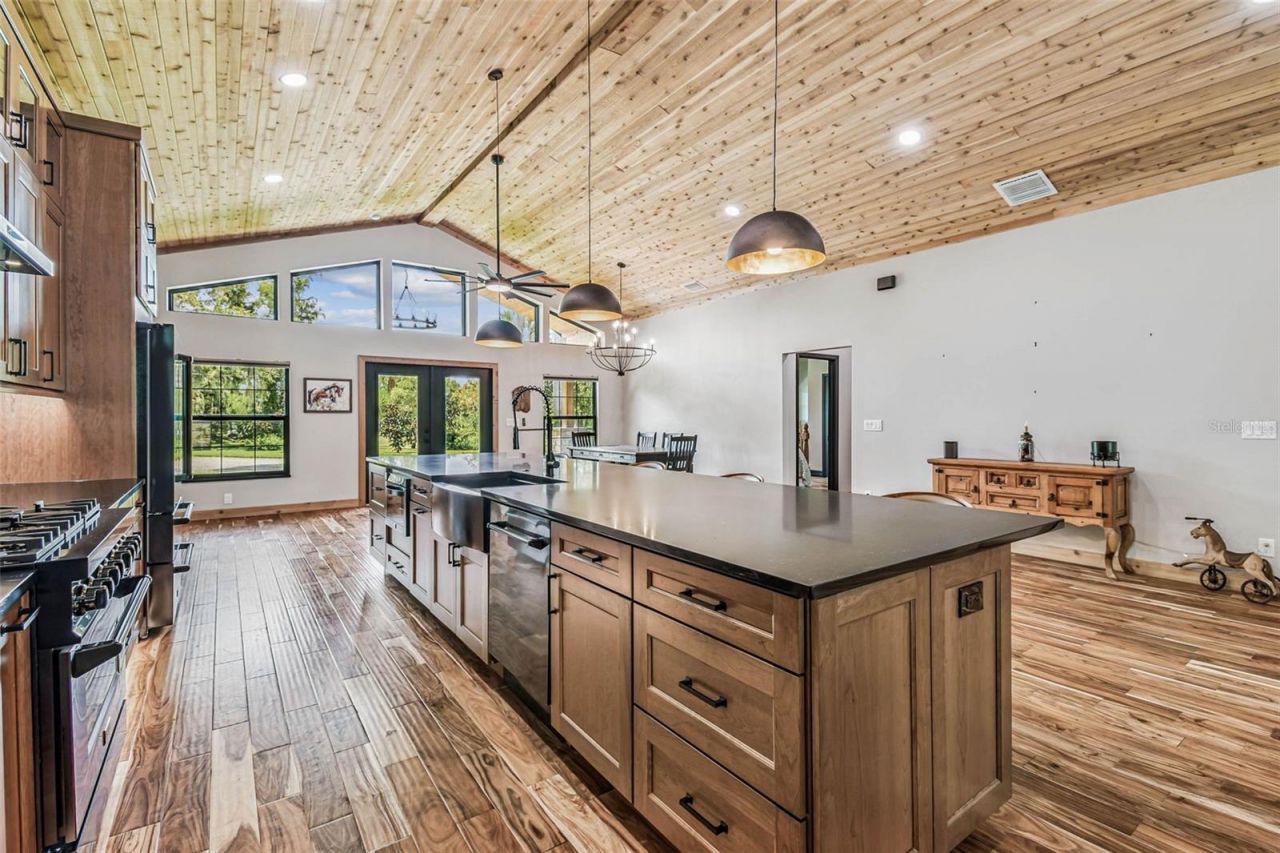 1517 Uncle Buds Lane, Lithia, FL 33547 Photo