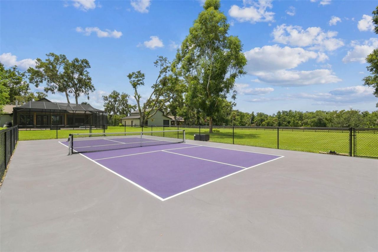 1517 Uncle Buds Lane, Lithia, FL 33547 Photo