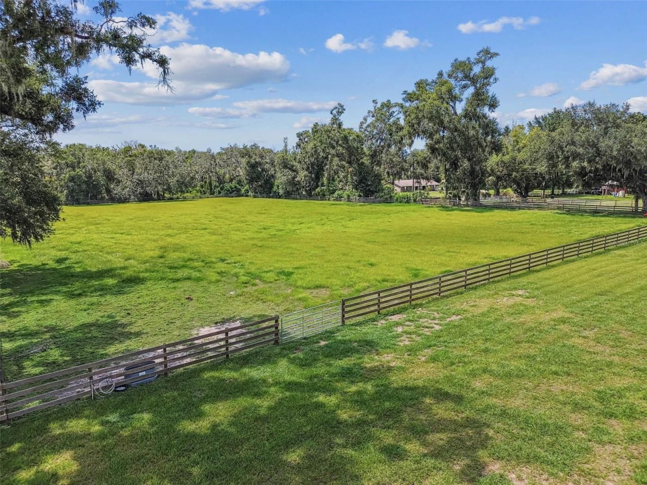 1517 Uncle Buds Lane, Lithia, FL 33547 Photo