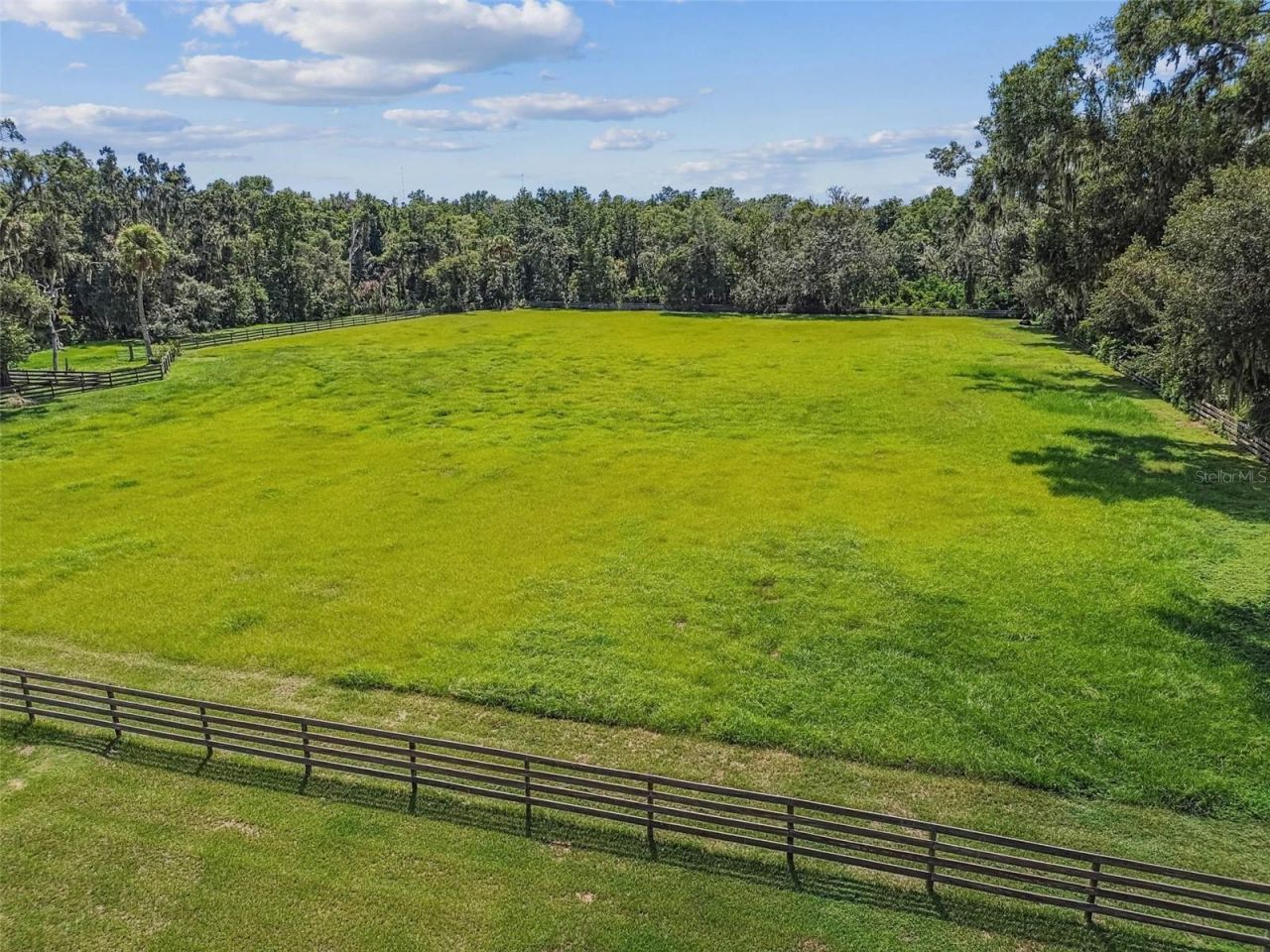 1517 Uncle Buds Lane, Lithia, FL 33547 Photo