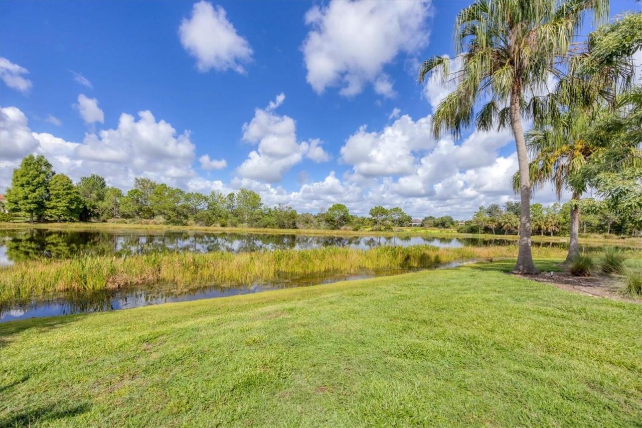 16404 Clearlake Avenue, Lakewood Ranch, FL 34202 Photo