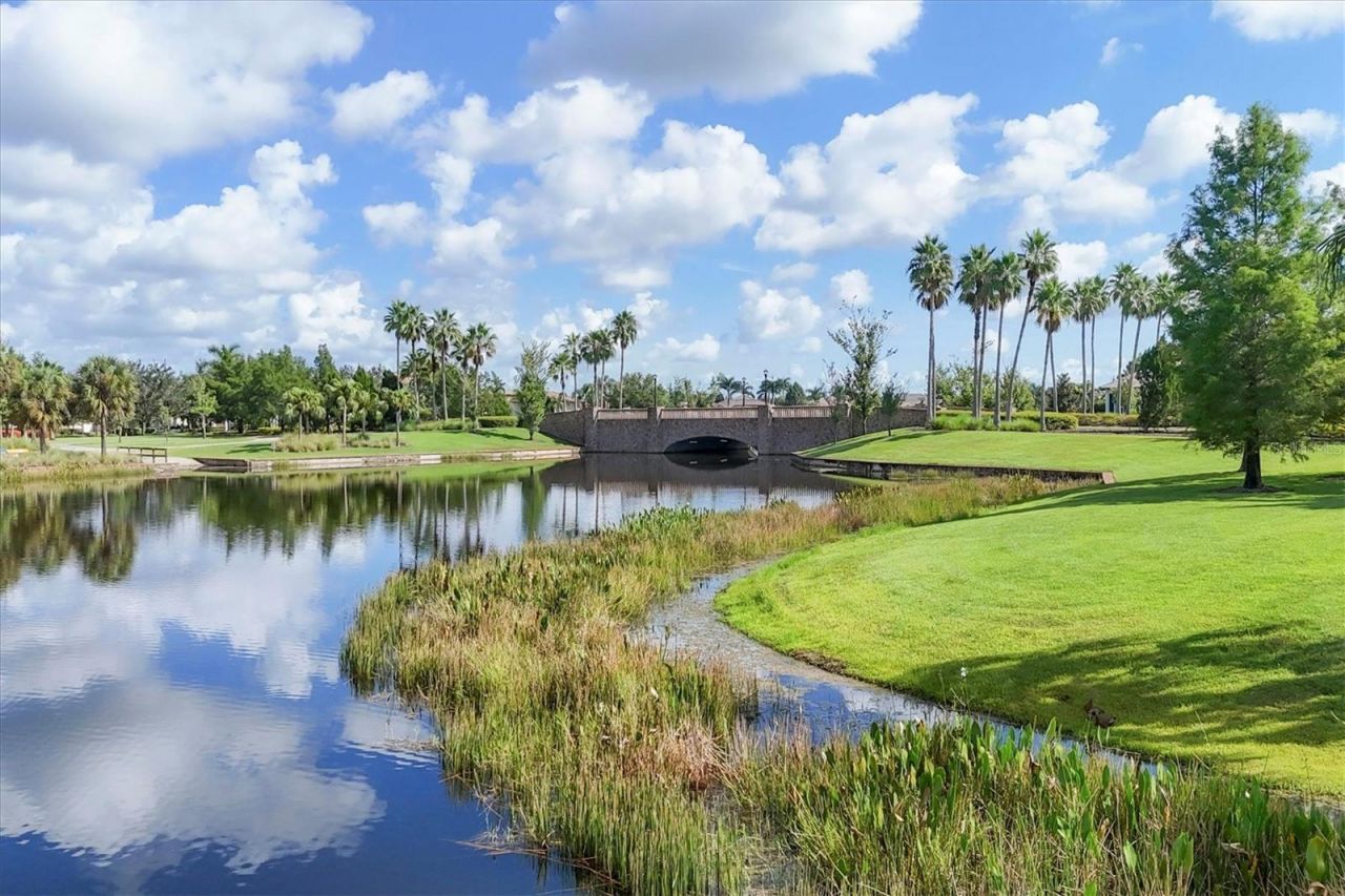 16404 Clearlake Avenue, Lakewood Ranch, FL 34202 Photo