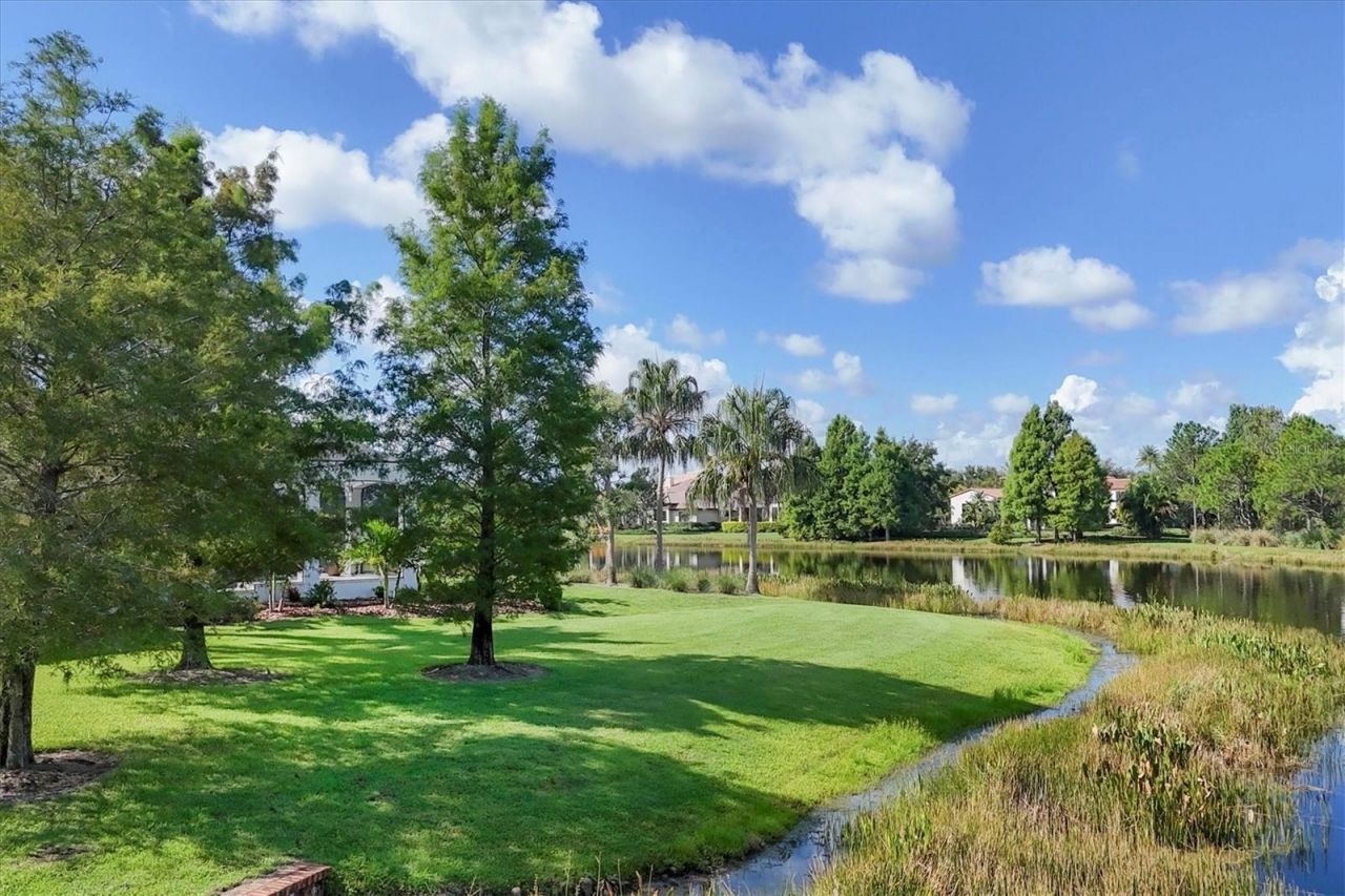 16404 Clearlake Avenue, Lakewood Ranch, FL 34202 Photo