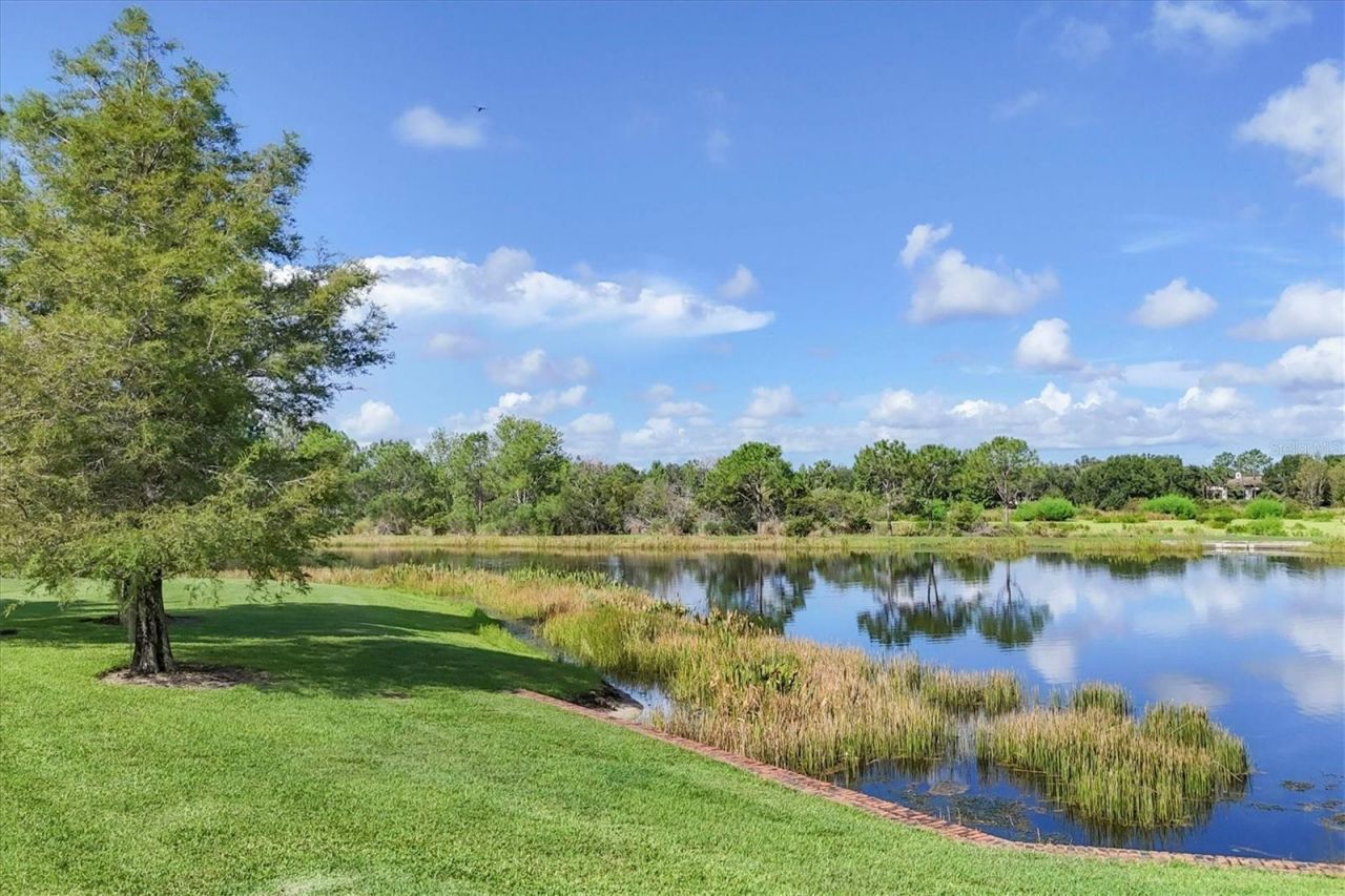 16404 Clearlake Avenue, Lakewood Ranch, FL 34202 Photo