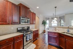 631 Twisted Oak Court photo 4