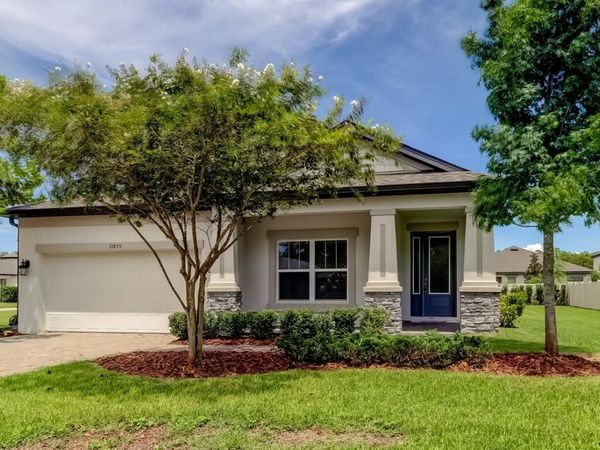 11855 RANCHERS GAP DRIVE, ODESSA, FL 33556