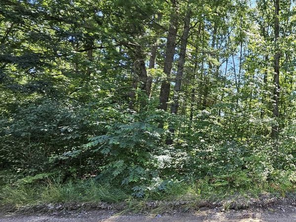 Merritt Street, Fife Lake, MI 49633