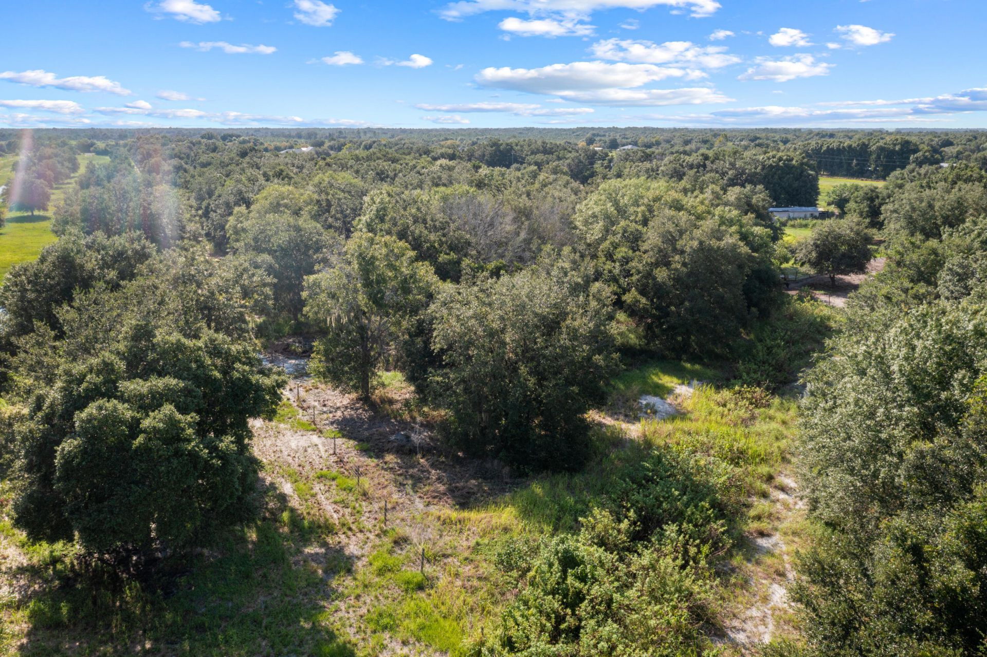 38203 8th Street E, Myakka City, FL 34251 Photo