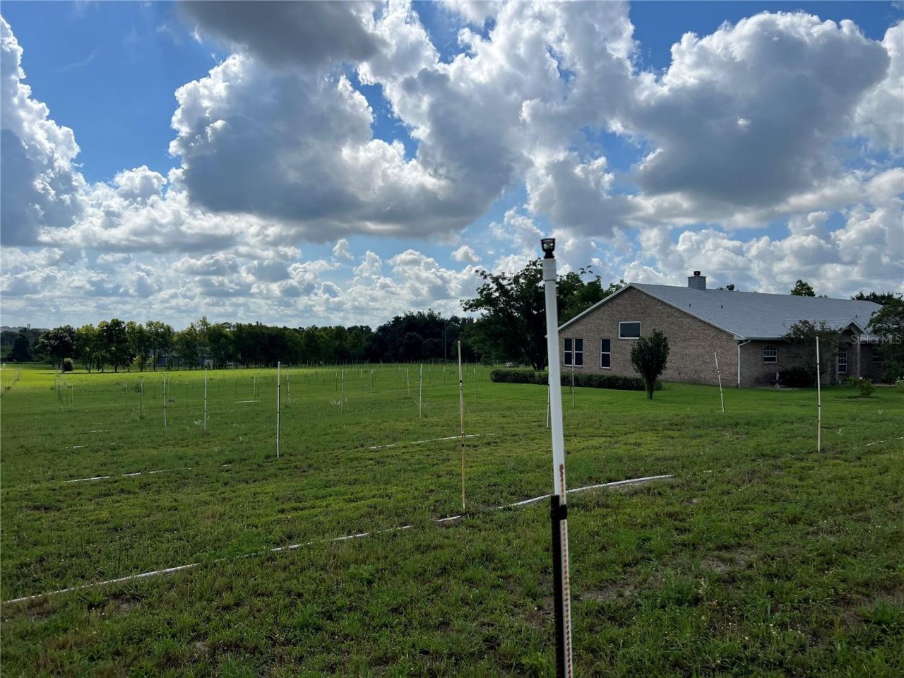 1815 Adams Barn Road, Lake Alfred, FL 33850 Photo