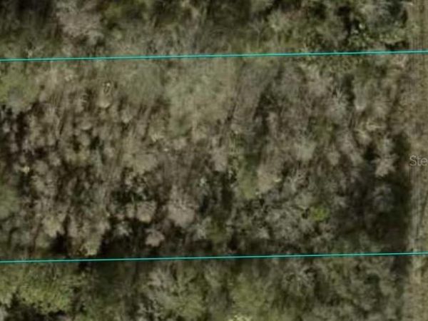 1366 COUNTY ROAD 305, BUNNELL, FL 32110