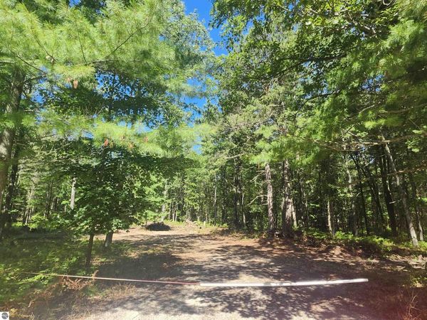 Lincoln Street E, East Tawas, MI 48763