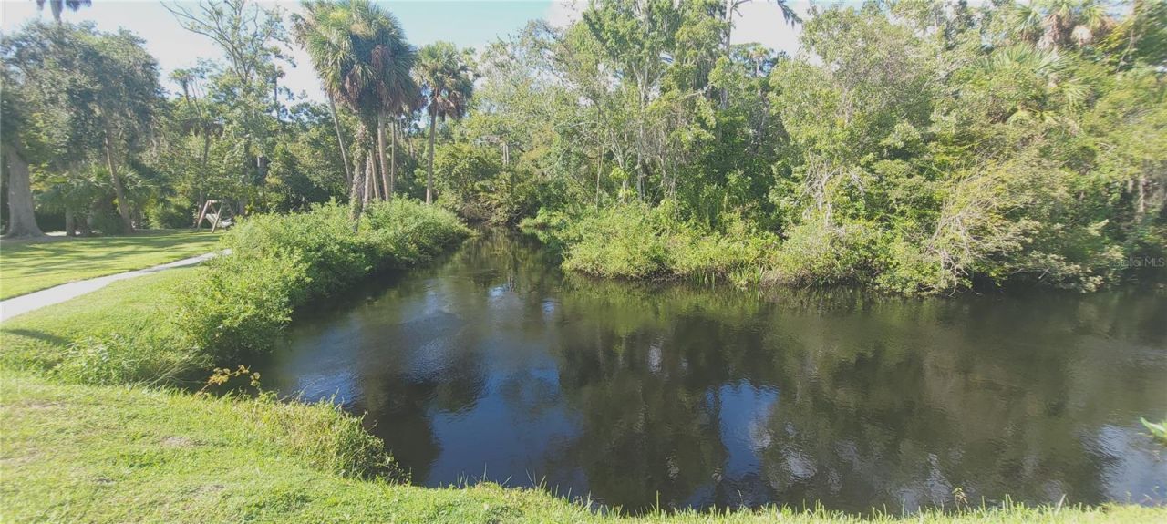 5330 Riverwalk Preserve Drive, New Port Richey, FL 34653 Photo