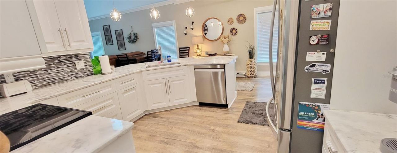 5330 Riverwalk Preserve Drive, New Port Richey, FL 34653 Photo