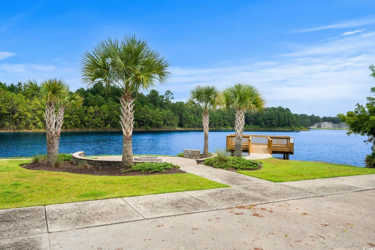 748 Flowering Branch Ave. Photo 39