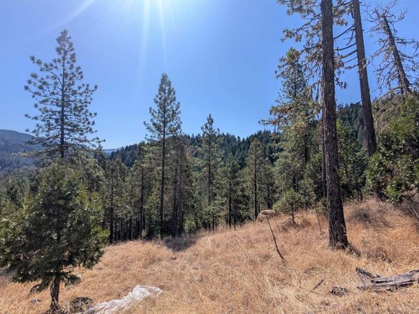 900 Old Cabin Dr, Glide, OR 97443