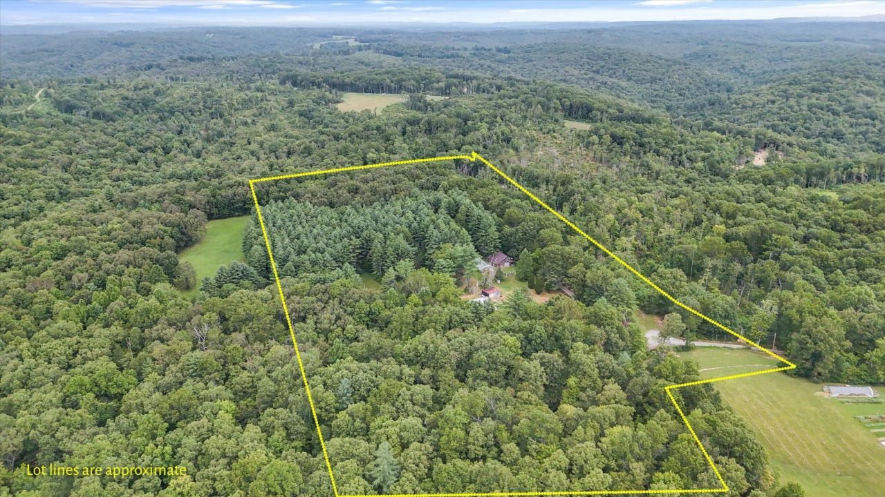 704 Annadell Road, Lancing, TN 37770 Main Photo