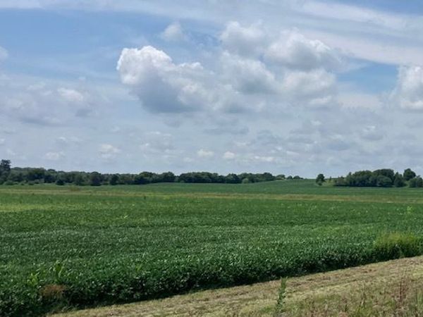 14651 1200 East Street, Wyanet, IL 61379