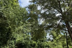 0 Off North Road photo 4