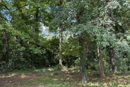 0 Off North Road photo 4