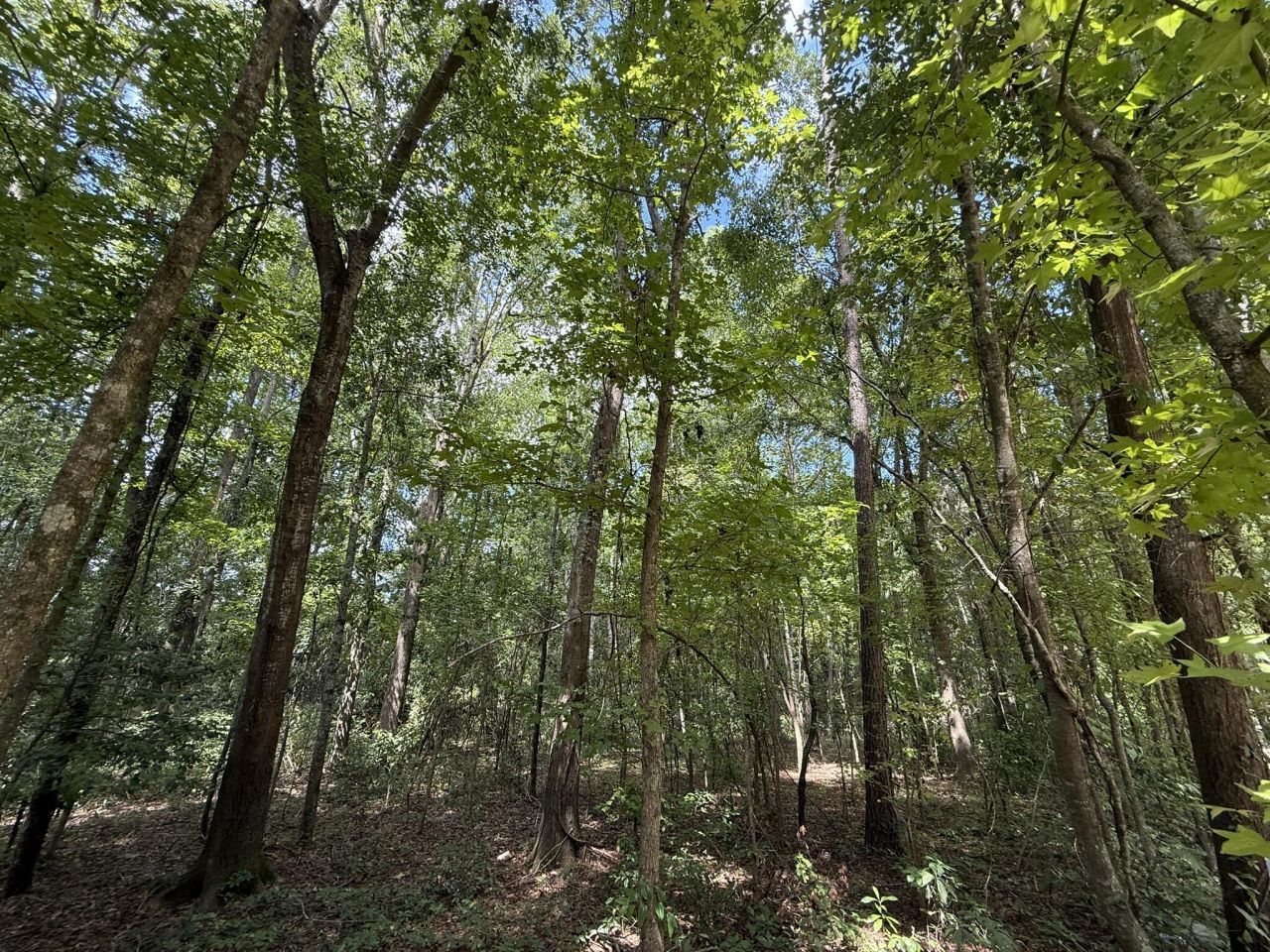 0 Off North Road Photo 4