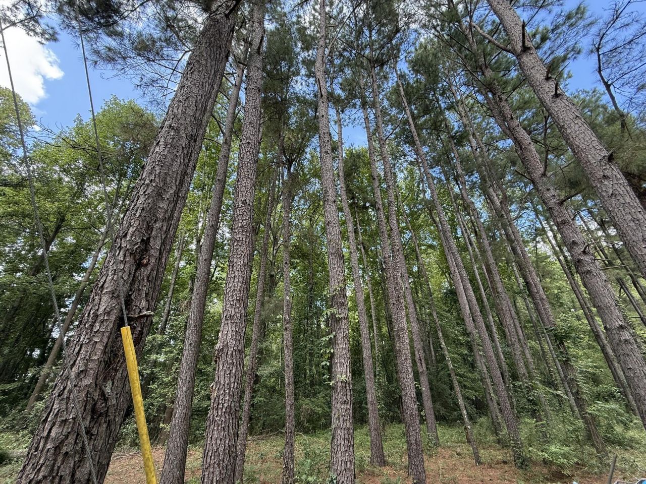 0 Off North Road Photo 6