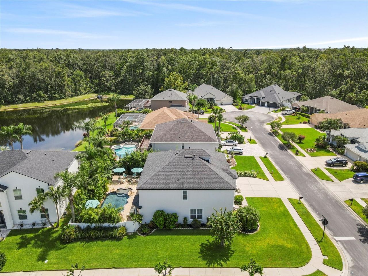 2614 Sylvan Ramble Court, Wesley Chapel, FL 33544 Photo