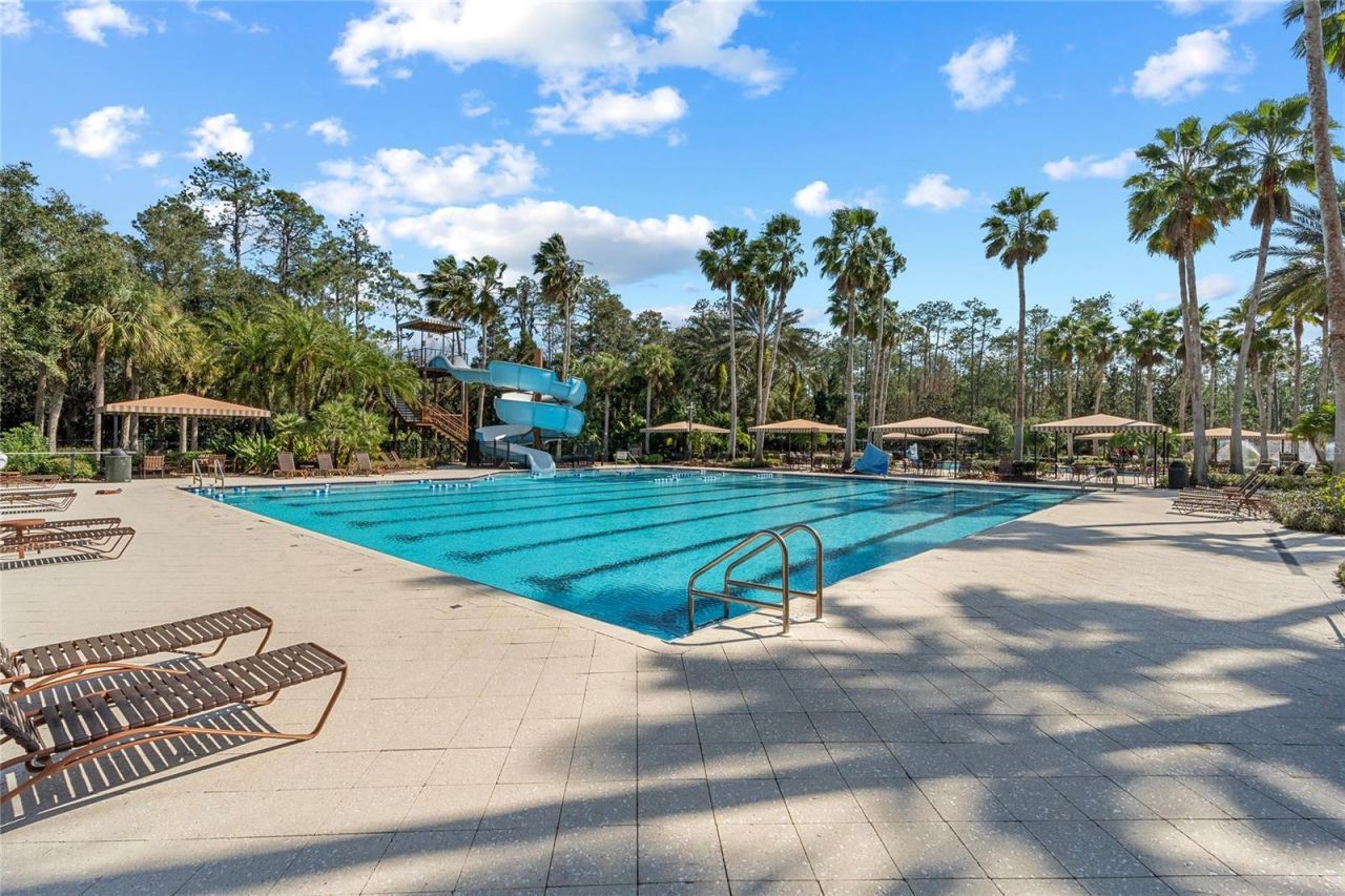 2614 Sylvan Ramble Court, Wesley Chapel, FL 33544 Photo