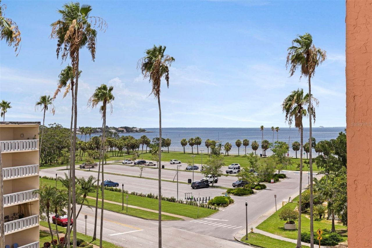1120 N Shore Drive Ne, Unit 503, Saint Petersburg, FL 33701 Photo