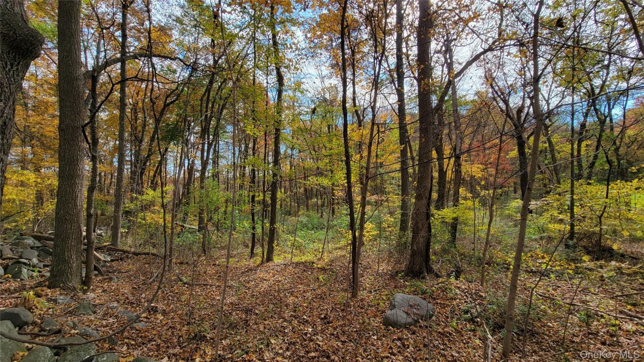 15 Rose Estates, Walden, NY 12586 Main Photo