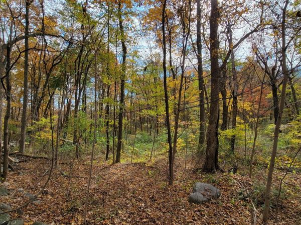 15 Rose Estates, Walden, NY 12586