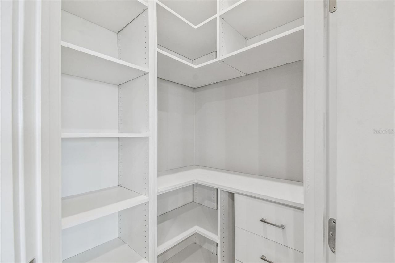 8936 Sanders Tree Loop, Wesley Chapel, FL 33545 Photo